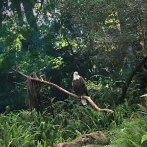 Meet your Posher, Petrina